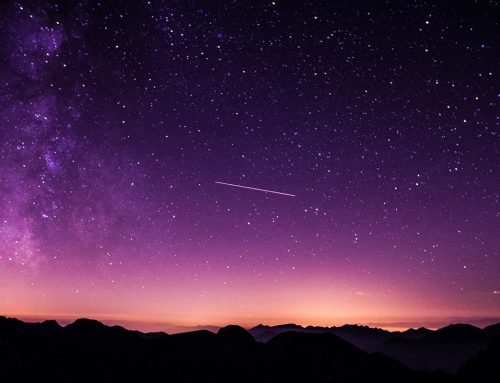 Leeuwenpoort op 8 augustus – Wensen manifesteren